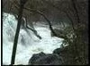 Vyrnwy 2006