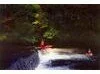 Beardy Dave 1